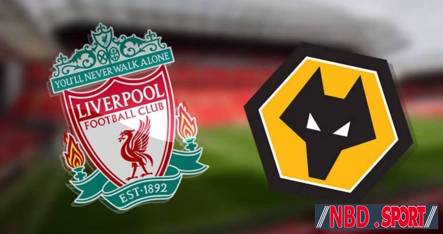 Match Today: Liverpool vs Wolverhampton 04-02-2023 English Premier League